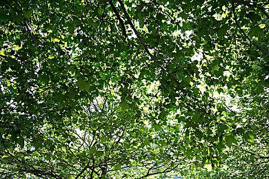 《星际战甲1999》新预告 计划于2024年冬季推出