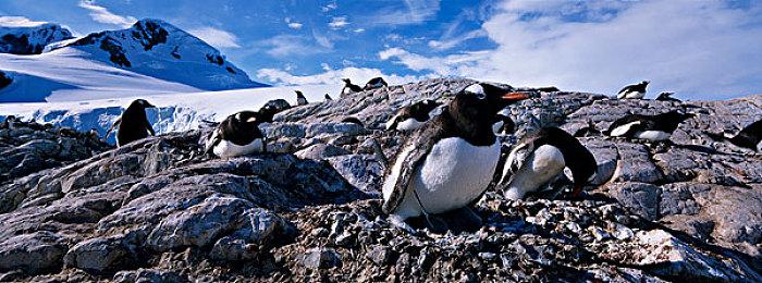 《人间地狱：越南》太真实 树帮助你分辨敌人方向