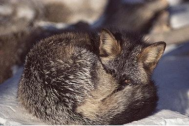 玩家自制《传送门2》VR mod 已提供下载